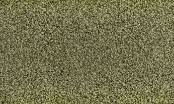 Ковролин Vorwerk Exclusive1009/Elara 4f75 фото 1 | FLOORDEALER